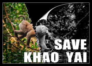 Save Khao Yai banner